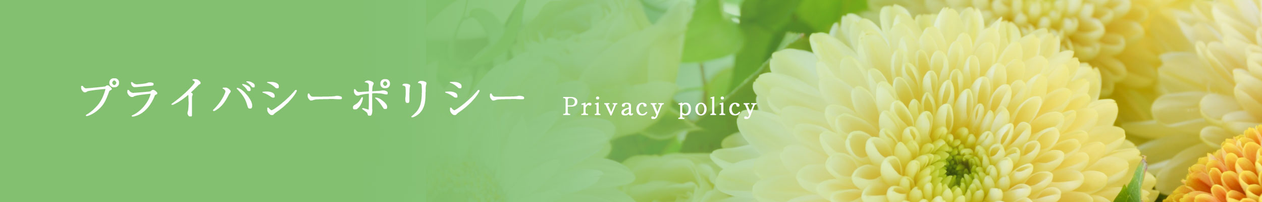 プライバシーポリシー privacy policy